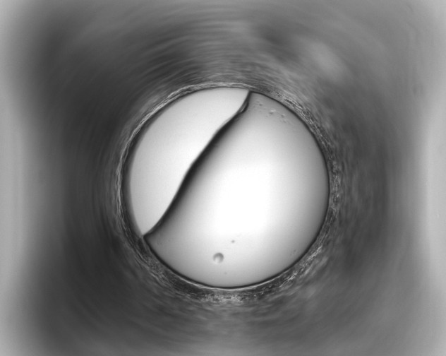 X0000096470194200801241145