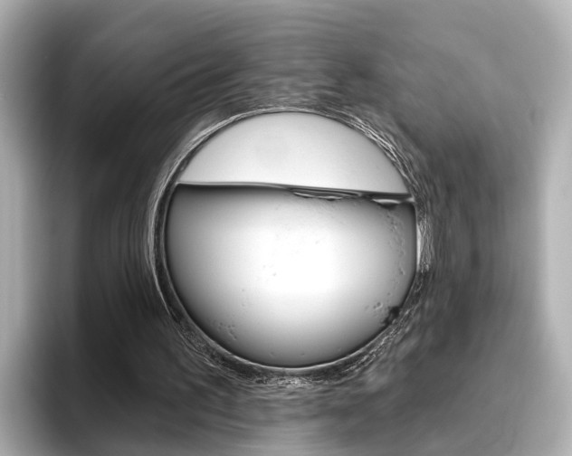 X0000096470195200801241145