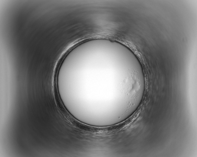X0000096470196200801241145
