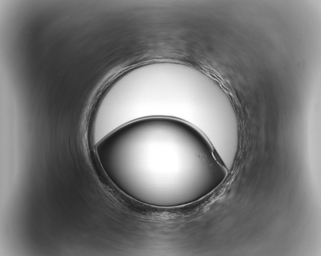 X0000096470197200801241145