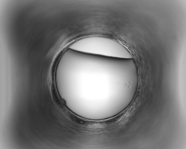 X0000096470198200801241145