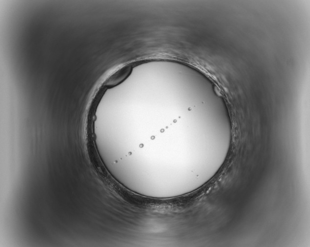 X0000096470200200801241145