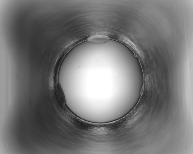 X0000096470203200801241145