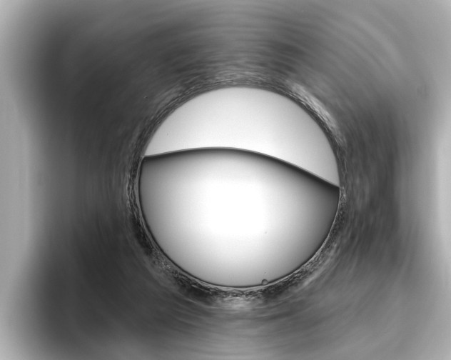 X0000096470209200801241145