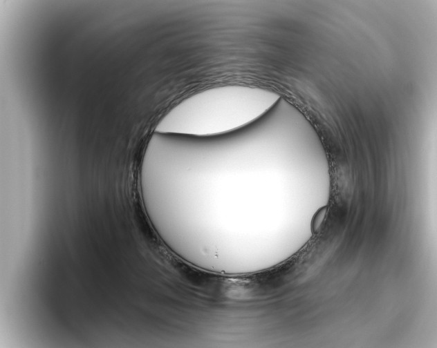 X0000096470222200801241145