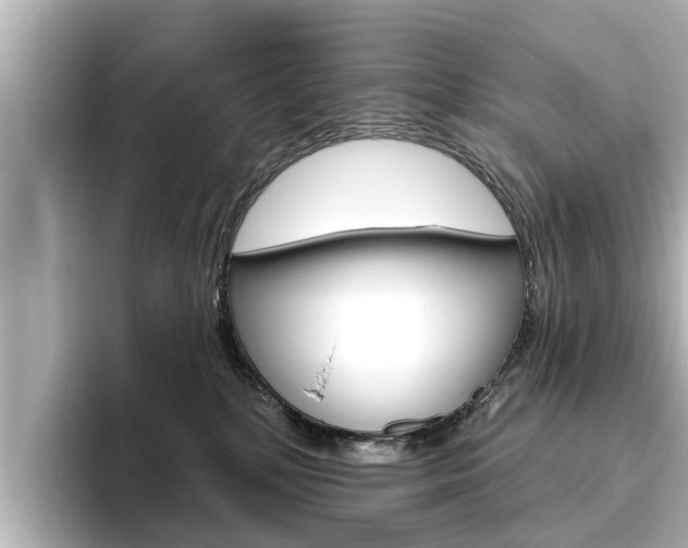 X0000096470232200801241144