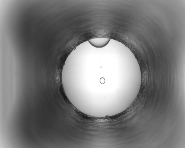 X0000096470234200801241144