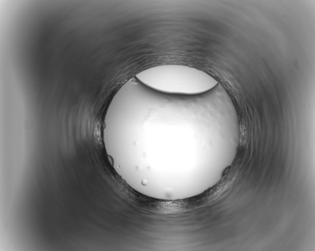 X0000096470238200801241144