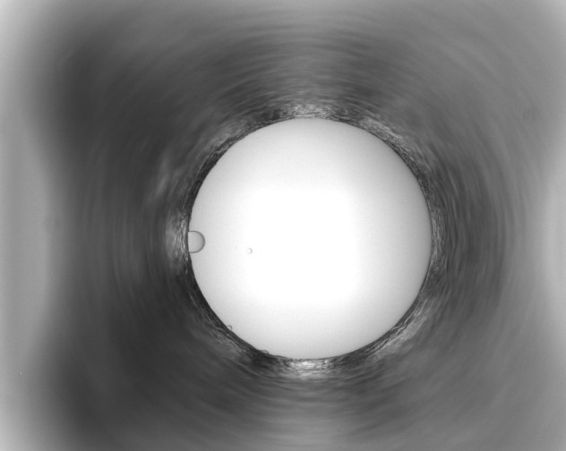 X0000096470240200801241144