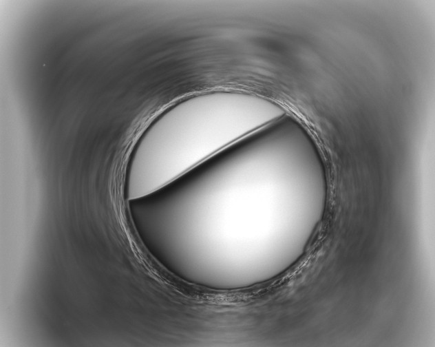 X0000096470241200801241144