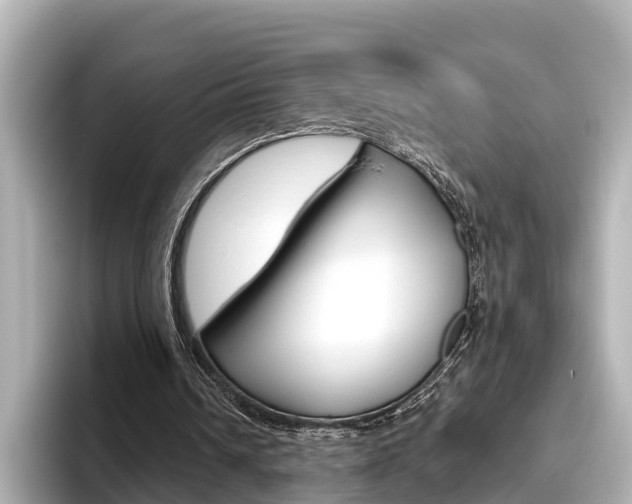 X0000096470242200801241144