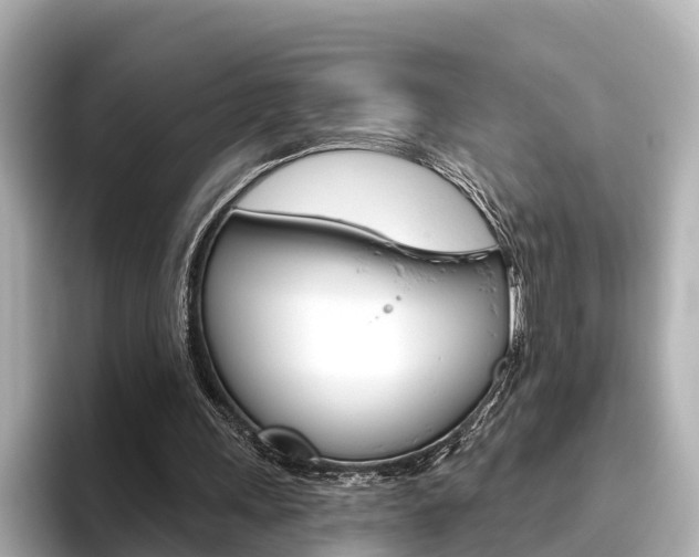 X0000096470243200801241144