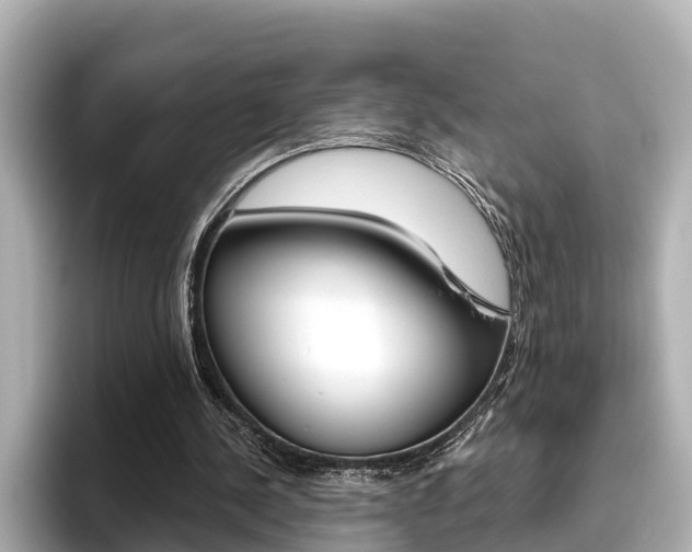 X0000096470244200801241144