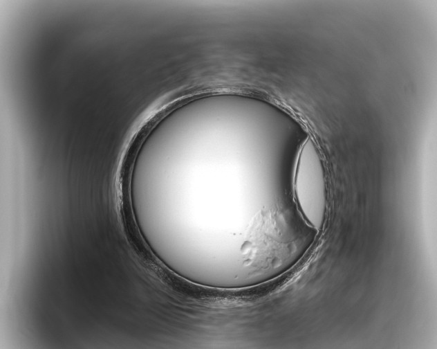 X0000096470246200801241144