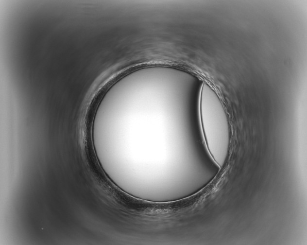 X0000096470247200801241144