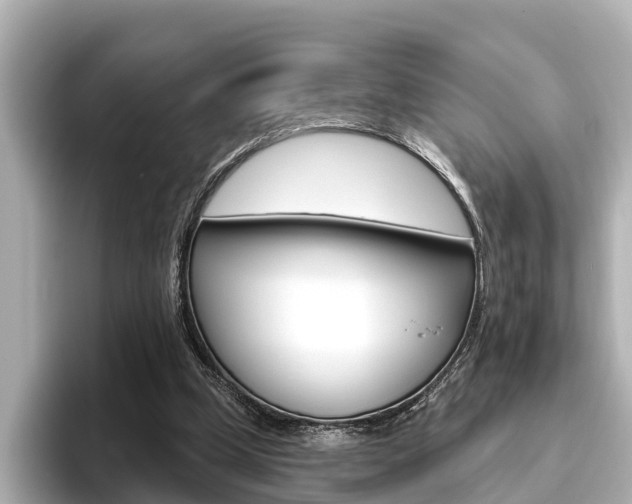X0000096470249200801241144