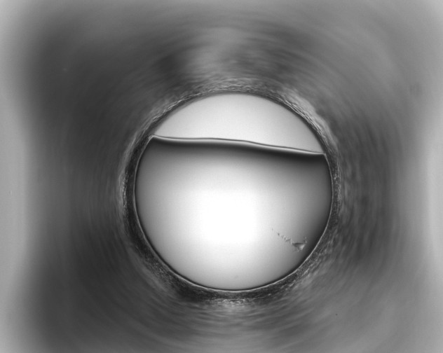 X0000096470250200801241144