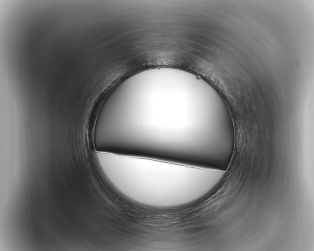 X0000096470251200801241144