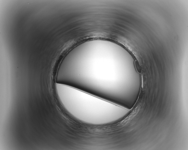 X0000096470253200801241144