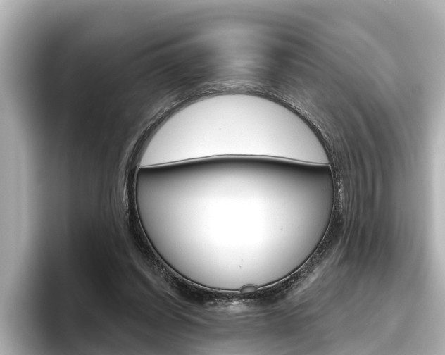 X0000096470254200801241144
