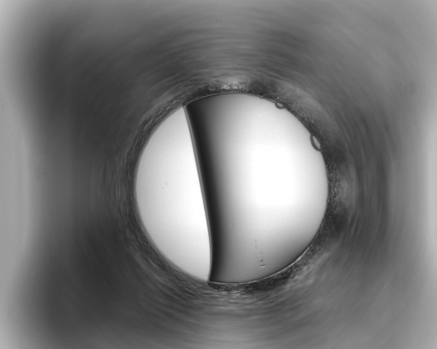 X0000096470262200801241144