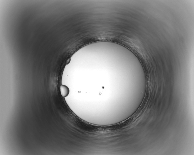 X0000096470263200801241144