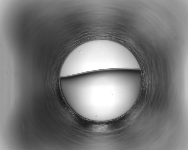 X0000096470266200801241144