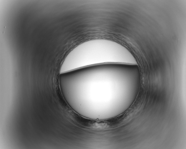 X0000096470270200801241144