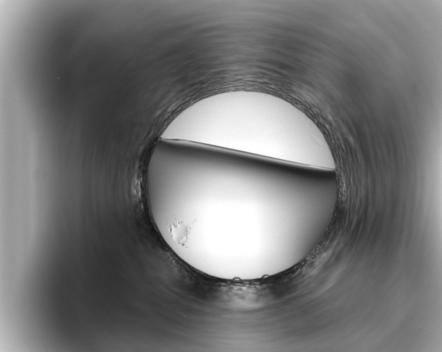 X0000096470282200801241144
