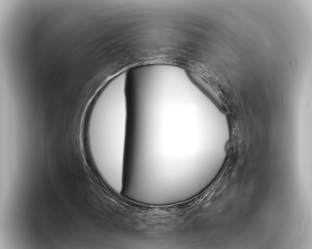 X0000096470290200801241144