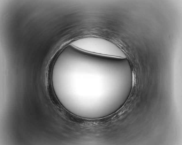 X0000096470291200801241144