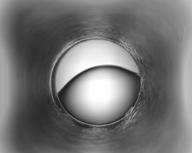 X0000096470292200801241144