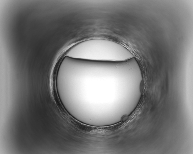 X0000096470294200801241144