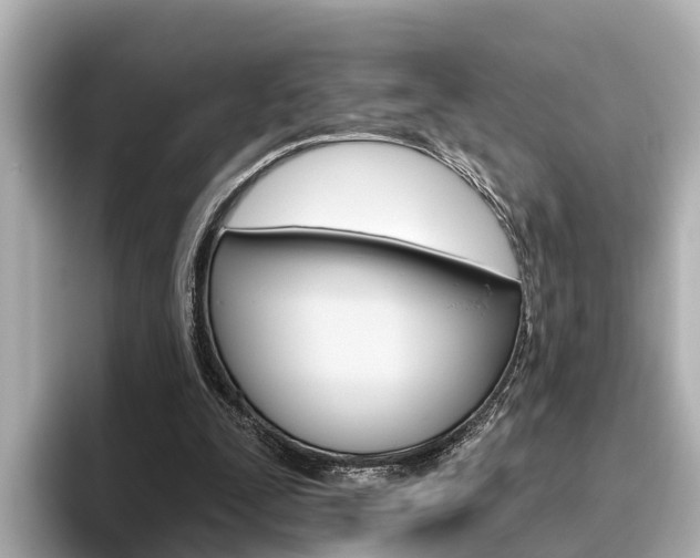 X0000096470295200801241144