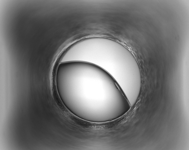 X0000096470296200801241144