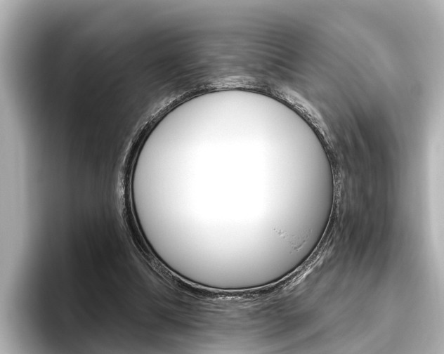 X0000096470298200801241144