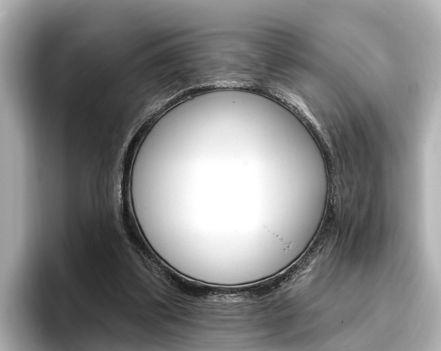 X0000096470299200801241144