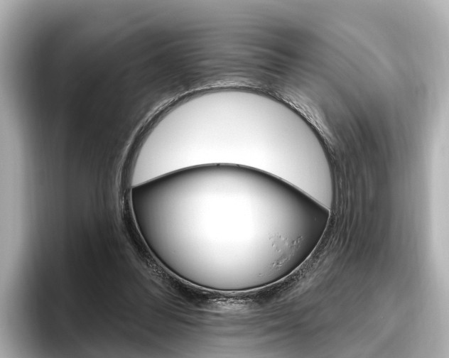 X0000096470300200801241144