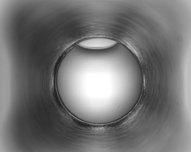 X0000096470301200801241144