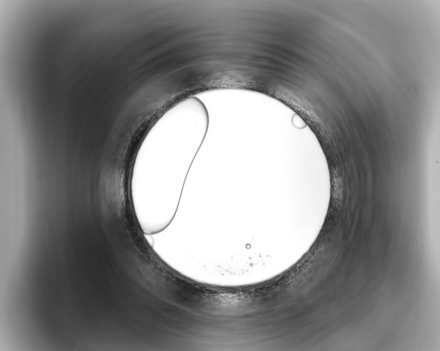 X0000096470302200801241144