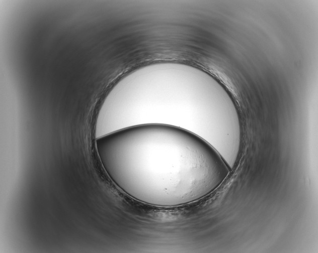 X0000096470305200801241144