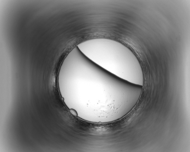 X0000096470310200801241143