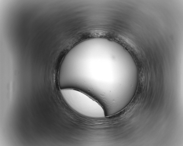 X0000096470315200801241143