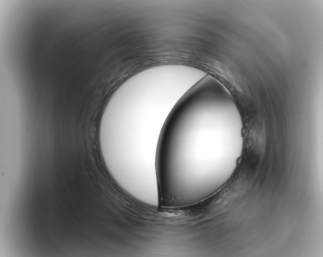 X0000096470317200801241143