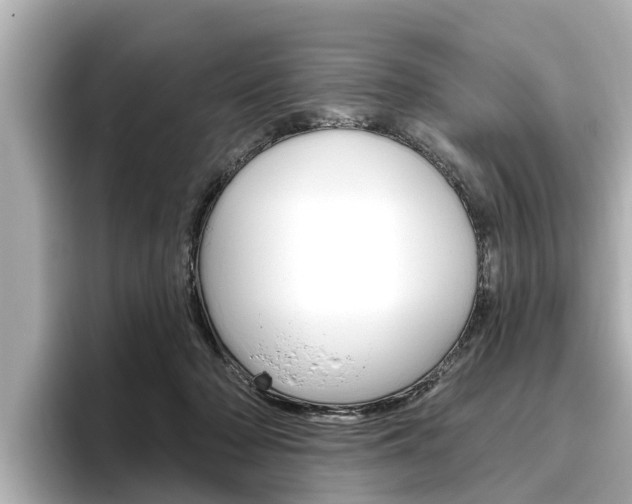 X0000096470318200801241143