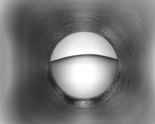 X0000096470323200801241143