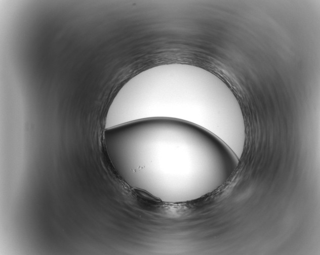 X0000096470333200801241143