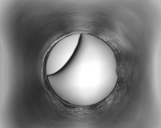 X0000096470338200801241143