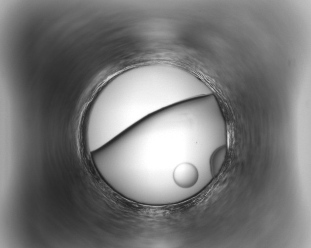 X0000096470339200801241143