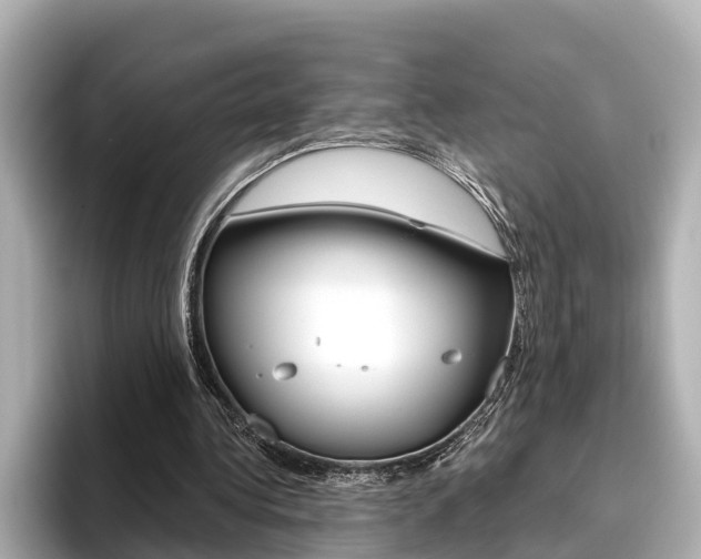 X0000096470340200801241143